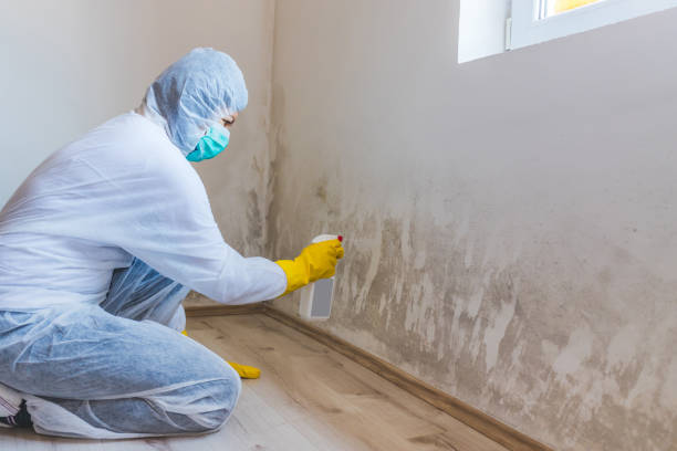 Hvac And Air Duct Mold Remediation inspection of HVAC system in Annandale